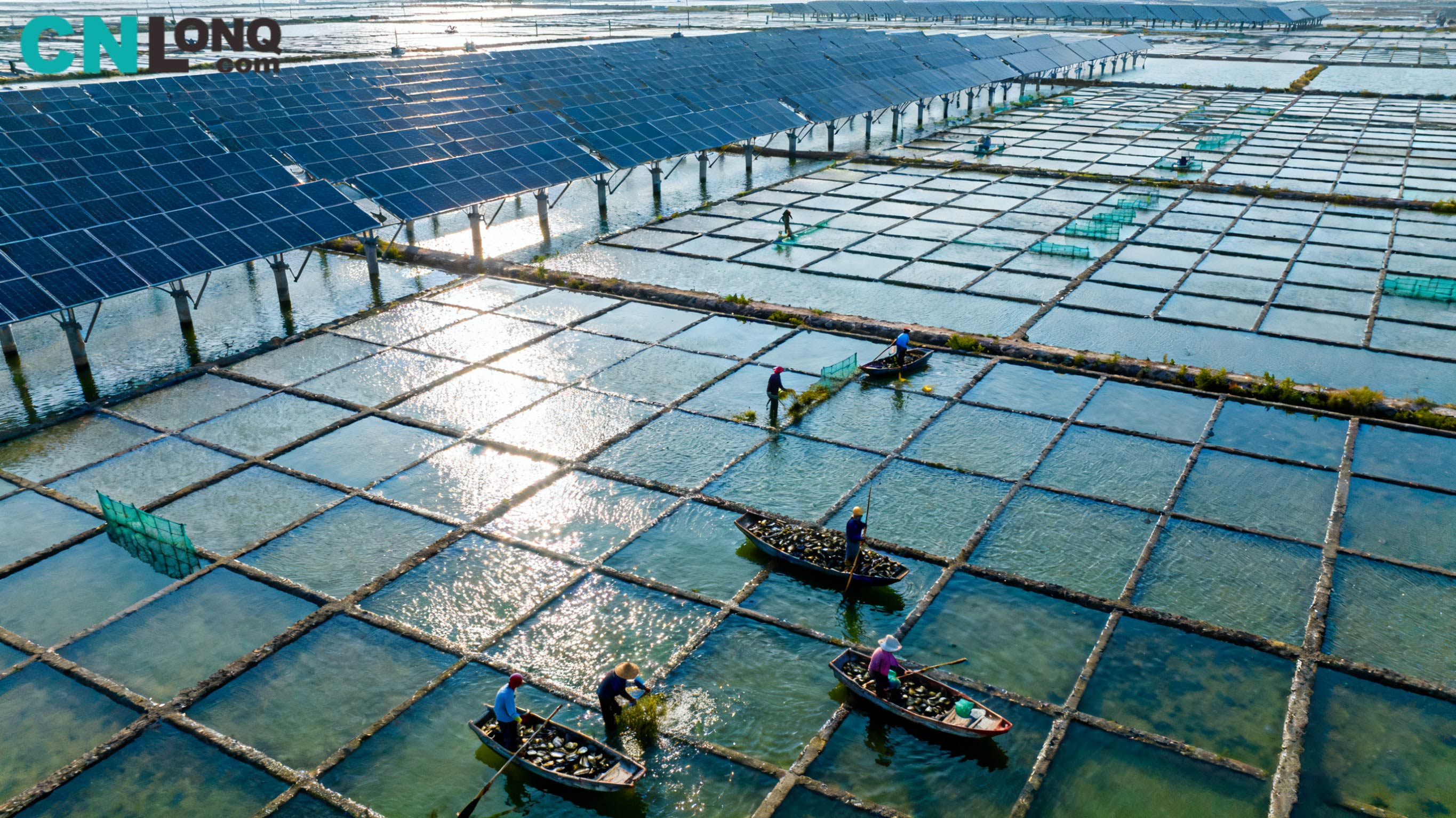 Загальні інвестиції 1,2 мільярда юанів! Проект соляного родовища Xindao Qingkou потужністю 250 МВт «доповнює рибальство та сонячну енергію» відкриває перші кроки